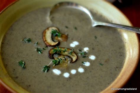  La Zuppa di Funghi Selvatici Yiyang: Una Sinfonia di Sapori Terrosi e Un Brodo Inconfondibilmente Rinfrescante?